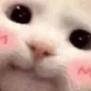 Emoji blushie