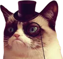 Emoji 2524grumpycattophat
