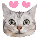 Emoji cgifamour