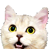 Emoji cgifatayooo