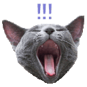 Emoji cgifattention