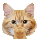 Emoji cgifclapclap