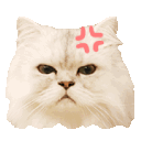 Emoji cgifcolere