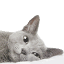 Emoji cgifdodo