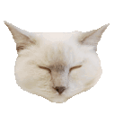 Emoji cgifdormir