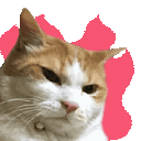 Emoji cgiffureur