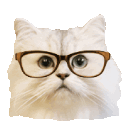 Emoji cgifintello2