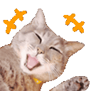 Emoji cgiflol