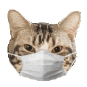 Emoji cgifmasque