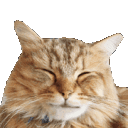 Emoji cgifrire