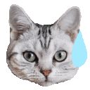 Emoji cgifsweat