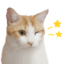 Emoji cgifwink