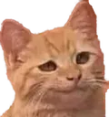 Emoji chatsmug