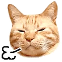 Emoji chatsoupir