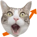 Emoji chatstonks