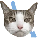 Emoji chatstonksno