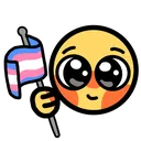 Emoji transflag
