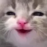 Emoji chat_content