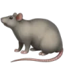 Emoji le_rat