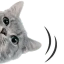 Emoji chatbonjour