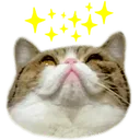 Emoji chatbrille