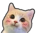 Emoji chatchou