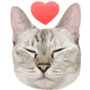 Emoji chatcoeur