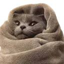 Emoji chatconfortable