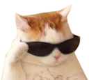 Emoji chatcool