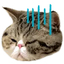 Emoji chatennui
