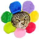 Emoji chatfleur