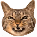 Emoji chatgrr