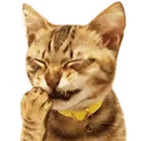 Emoji chathihi