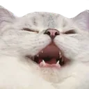 Emoji chatlol