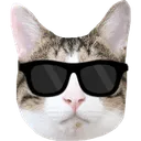 Emoji chatlunettes