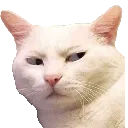 Emoji chatmefiant