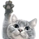 Emoji chatmoi