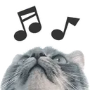Emoji chatmusique