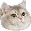 Emoji chatoho