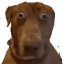 Emoji chien2