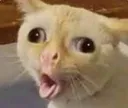 Emoji uehufhjn