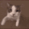 Emoji 02catkiss