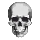 Emoji 2_skull