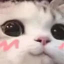 Emoji UwU