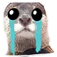 Emoji otter_thumb