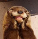 Emoji Otter19