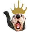 Emoji queen_otter