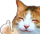 Emoji chatoui