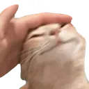 Emoji chatpat