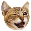 Emoji chatwink
